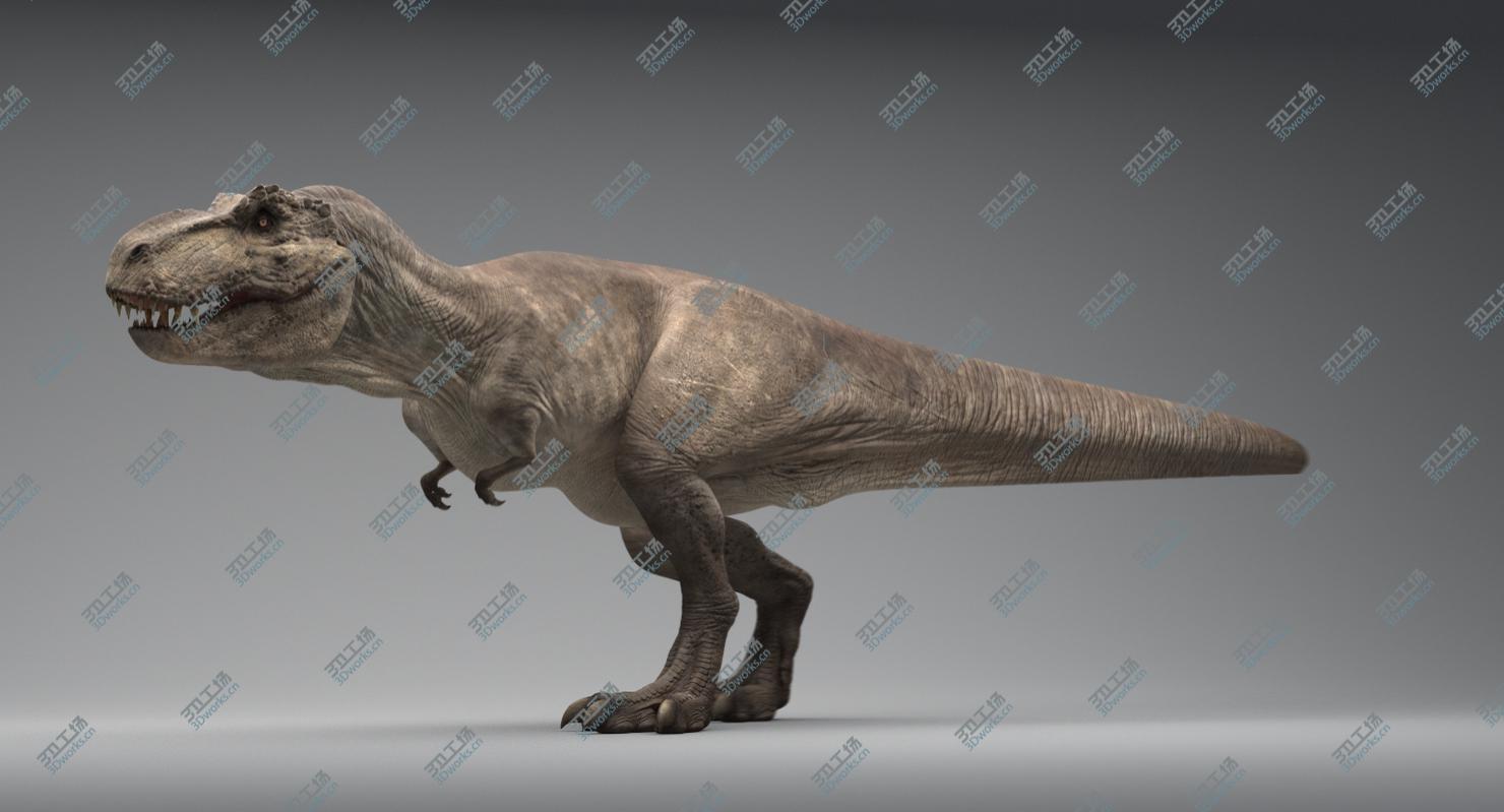 images/goods_img/20210113/Tyrannosaurus Rex Animated 3D model/4.jpg